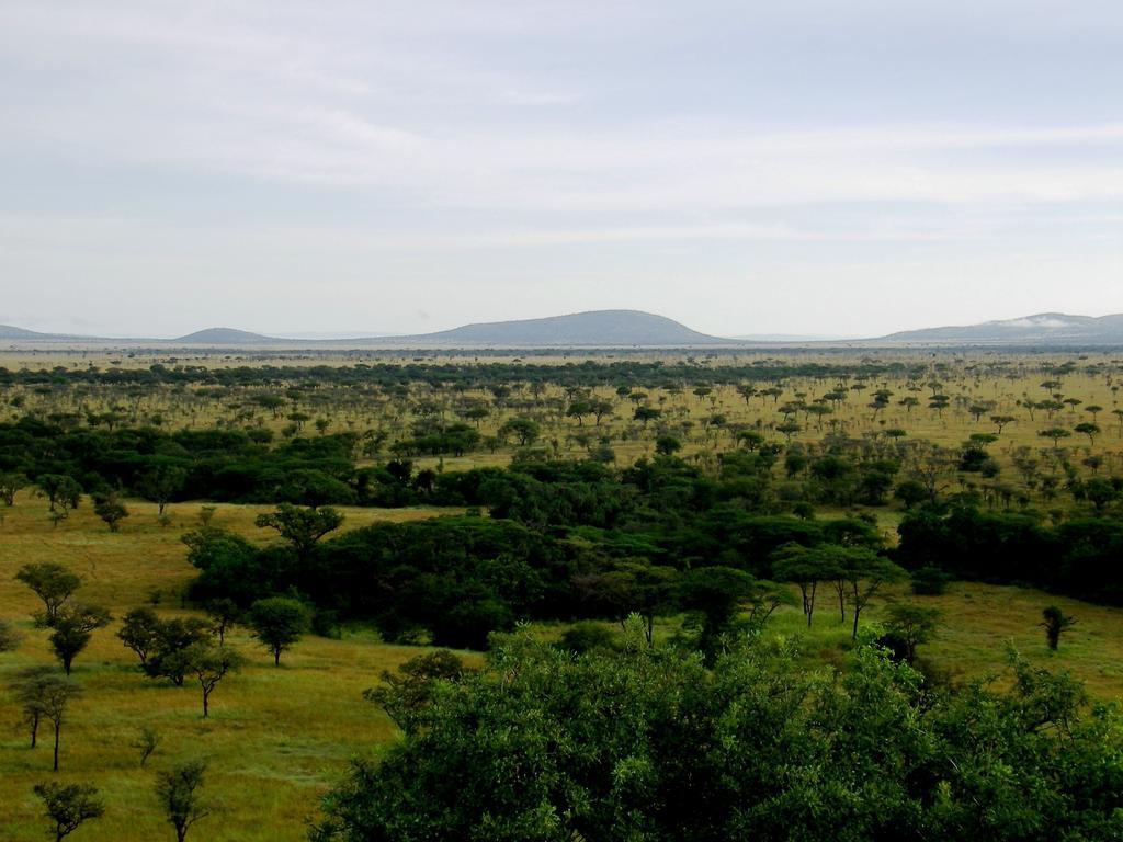 Mbalageti Serengeti Exterior photo